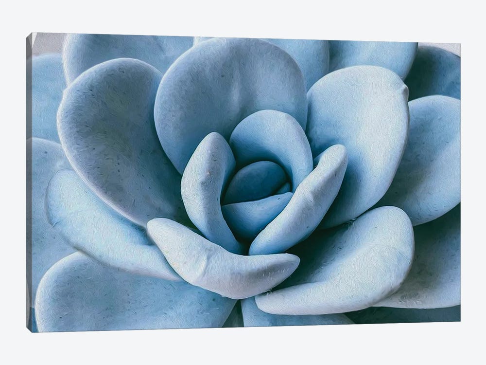 Succulent Blue by Ievgeniia Bidiuk 1-piece Canvas Wall Art