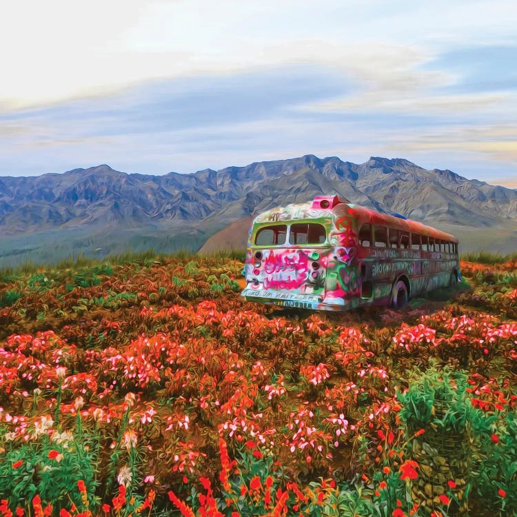 An Old Graffiti-Painted Bus In A Flower Meadow