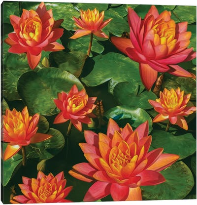 Orange Water Lilies Canvas Art Print - Lily Art