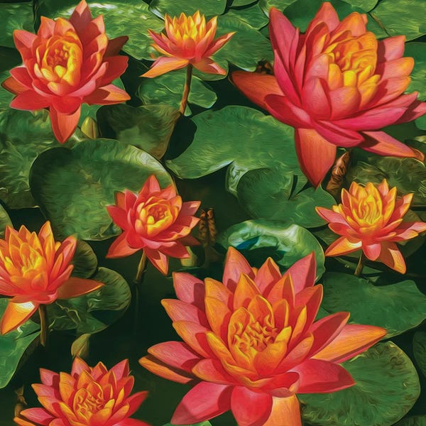 Water Lilies: Orange Water Lilies by Ievgeniia Bidiuk