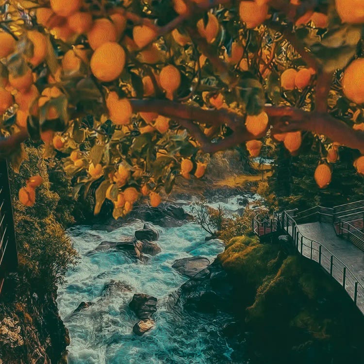 An Orange Tree Over A Mountain River