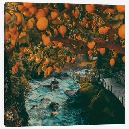 An Orange Tree Over A Mountain River Canvas Print #IVG563} by Ievgeniia Bidiuk Canvas Art Print