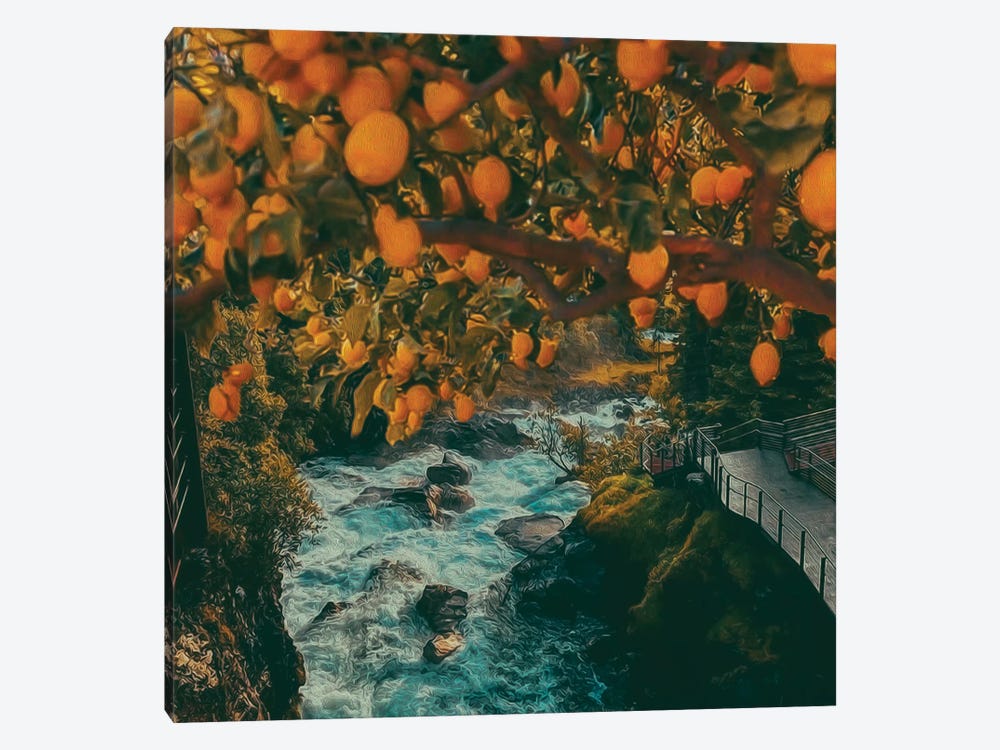 An Orange Tree Over A Mountain River by Ievgeniia Bidiuk 1-piece Canvas Art Print