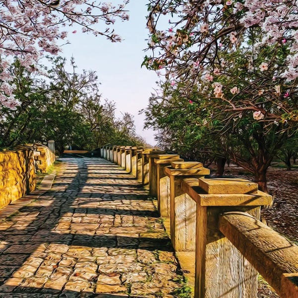 Ievgeniia Bidiuk: A Stone Path In A Spring Garden by Ievgeniia Bidiuk