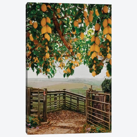 Lemon Branches Over A Wooden Fence In The Village Canvas Print #IVG568} by Ievgeniia Bidiuk Art Print
