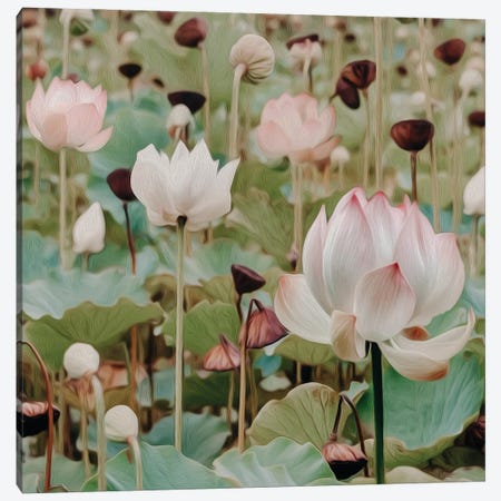 Blooming Lotus Canvas Print #IVG56} by Ievgeniia Bidiuk Canvas Wall Art