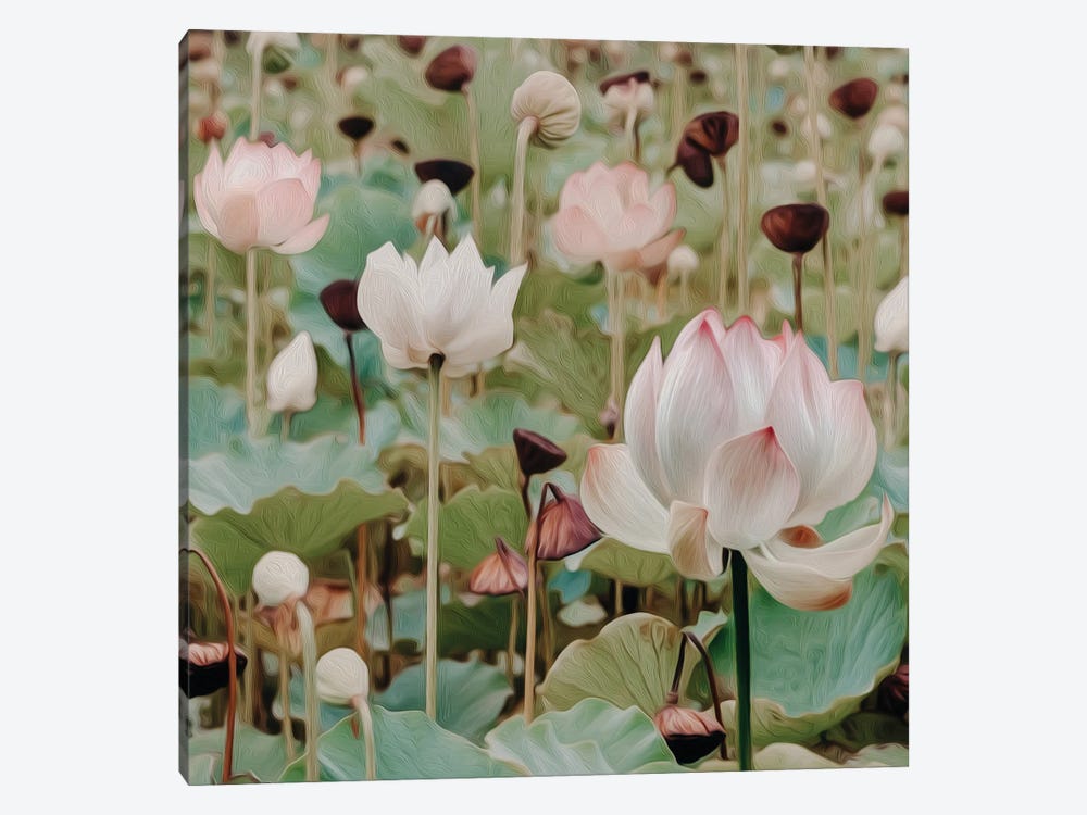 Blooming Lotus by Ievgeniia Bidiuk 1-piece Canvas Print