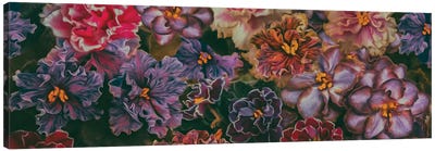 Assorted Violets Canvas Art Print