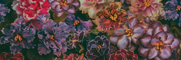 Ievgeniia Bidiuk: Assorted Violets by Ievgeniia Bidiuk
