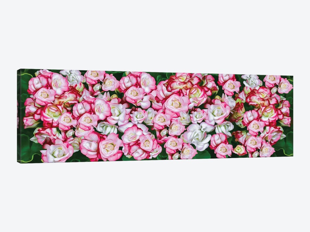 Background Of Pink And White Roses by Ievgeniia Bidiuk 1-piece Art Print