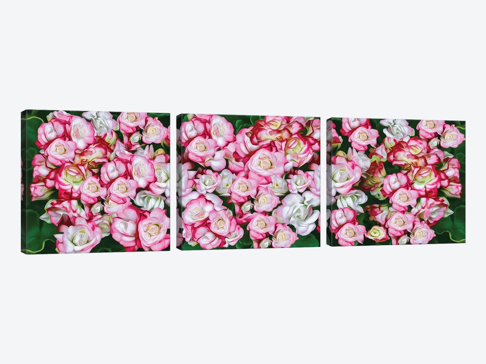 Background Of Pink And White Roses by Ievgeniia Bidiuk 3-piece Canvas Art Print