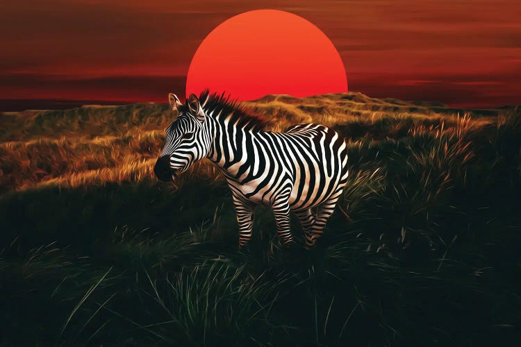 Zebra At Sunset On The African Steppe