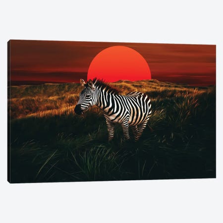 Zebra At Sunset On The African Steppe Canvas Print #IVG581} by Ievgeniia Bidiuk Art Print