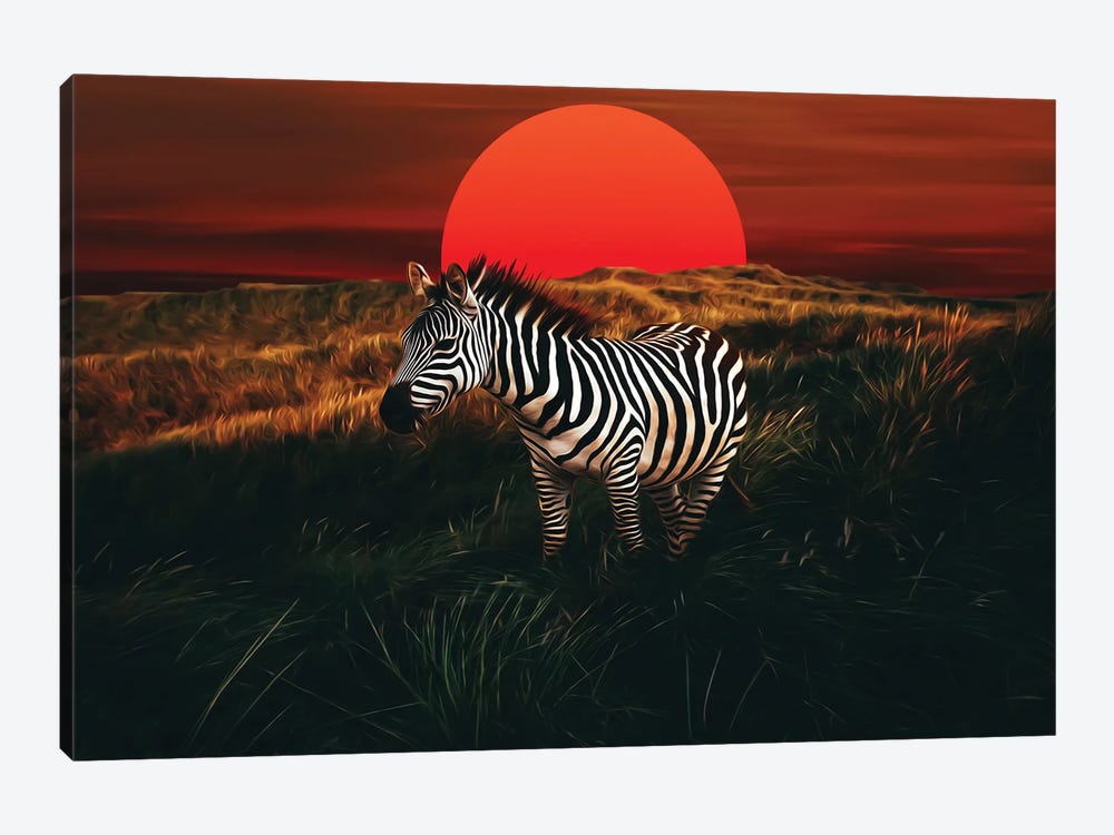 Zebra At Sunset On The African Steppe by Ievgeniia Bidiuk 1-piece Art Print