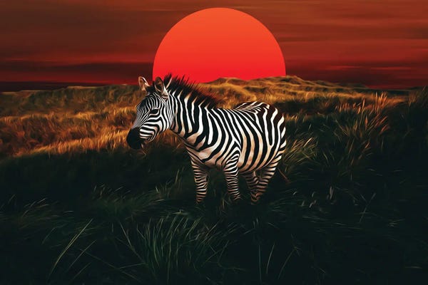 Ievgeniia Bidiuk: Zebra At Sunset On The African Steppe by Ievgeniia Bidiuk