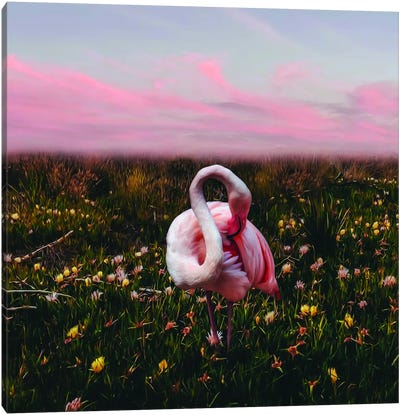 Flamingo In A Meadow With Flowers Canvas Art Print - Sunset Shades