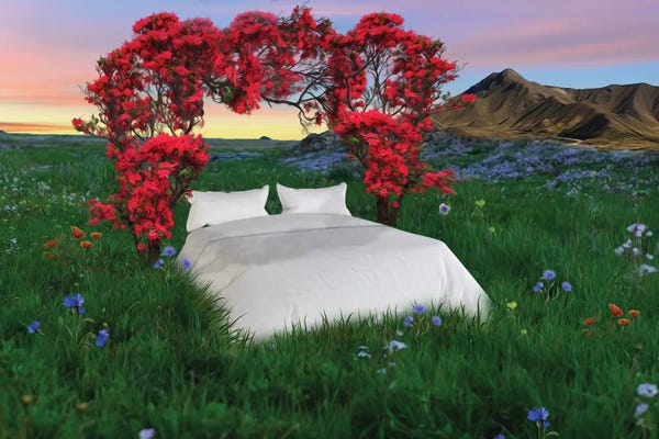 Ievgeniia Bidiuk: An Arch Of Roses Over A Bed In A Meadow by Ievgeniia Bidiuk