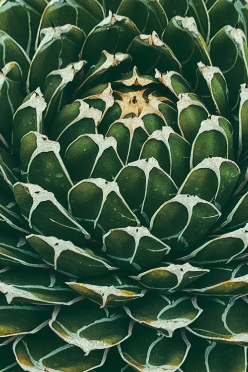 Agave Vertical Background