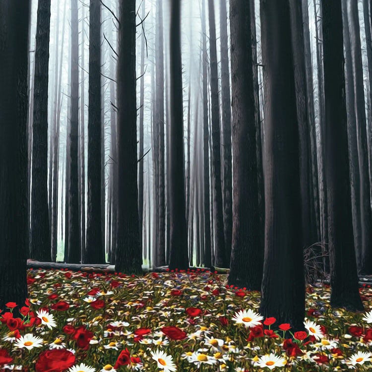 A Glade With Blooming Poppies And Daisies In A Pine Forest