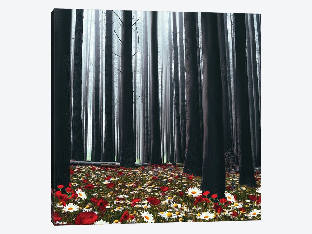 A Glade With Blooming Poppies And Daisies In A Pine Forest by Ievgeniia Bidiuk 1-piece Canvas Art Print