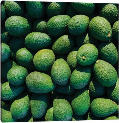 Green Avocado Canvas Art Print - Avocados