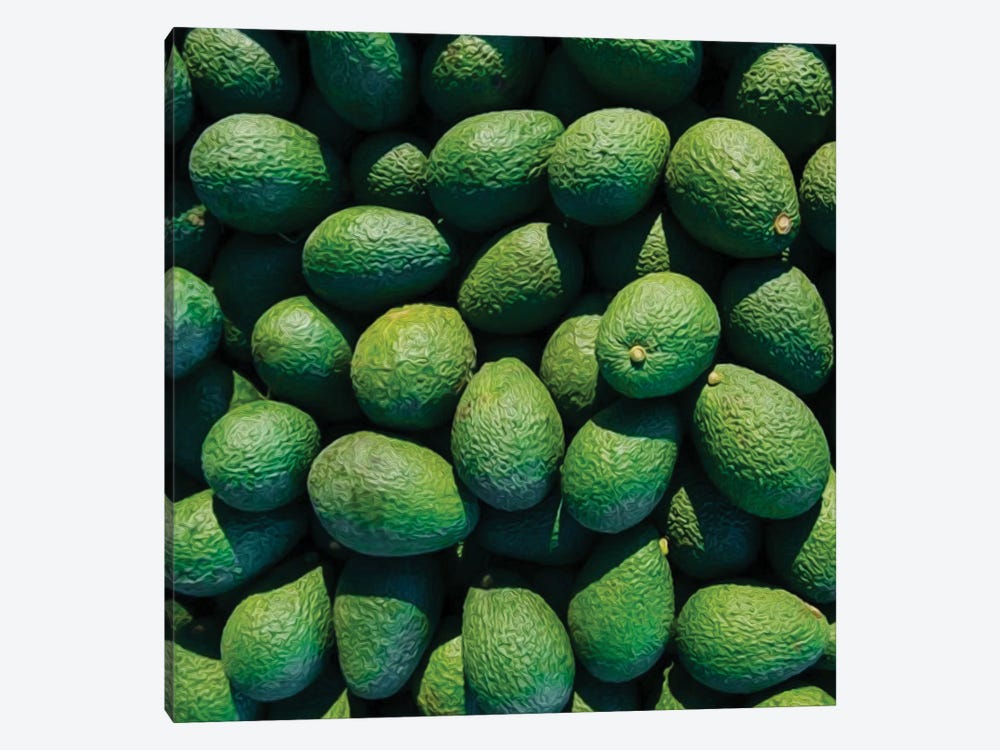 Green Avocado by Ievgeniia Bidiuk 1-piece Canvas Wall Art