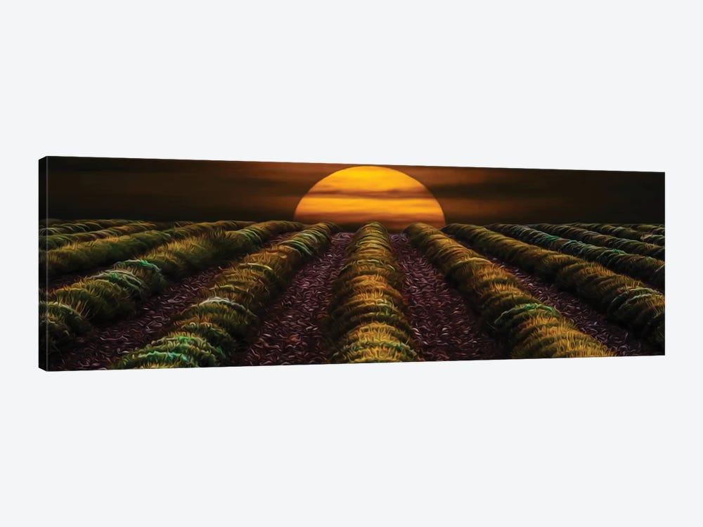 Sunset In A Lavender Field In The Fall by Ievgeniia Bidiuk 1-piece Canvas Art