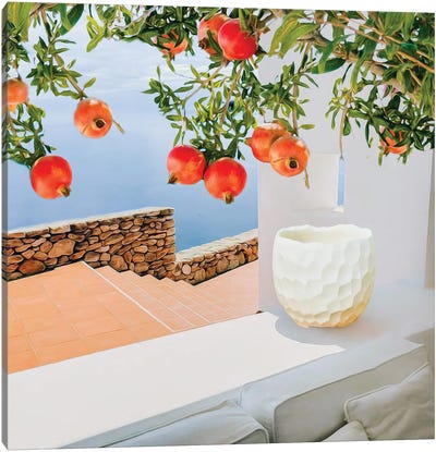 Ripe Branches With Pomegranate Fruit On The Background Of The House By The Sea Canvas Art Print - Pomegranate Art