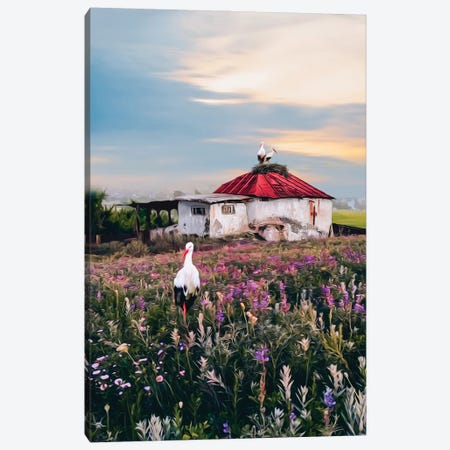 A Rustic Landscape With Storks And An Old House Canvas Print #IVG608} by Ievgeniia Bidiuk Canvas Artwork