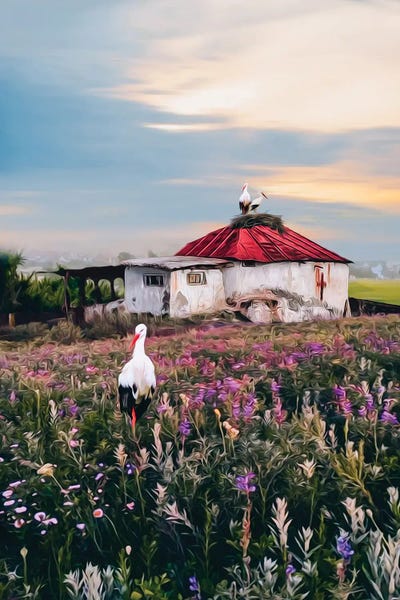 Reclaimed By Nature: A Rustic Landscape With Storks And An Old House by Ievgeniia Bidiuk