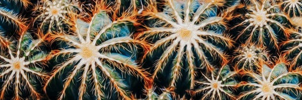 Cacti: Bright Background From Cacti by Ievgeniia Bidiuk