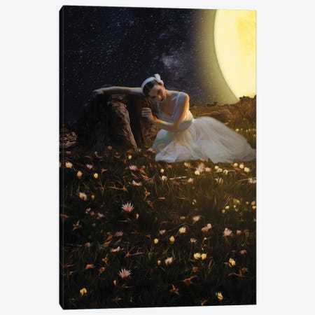 Ballerina In The Flower Meadow Under The Big Moon Canvas Print #IVG615} by Ievgeniia Bidiuk Canvas Art