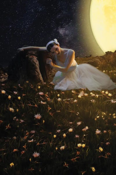 Nature Renewal: Ballerina In The Flower Meadow Under The Big Moon by Ievgeniia Bidiuk