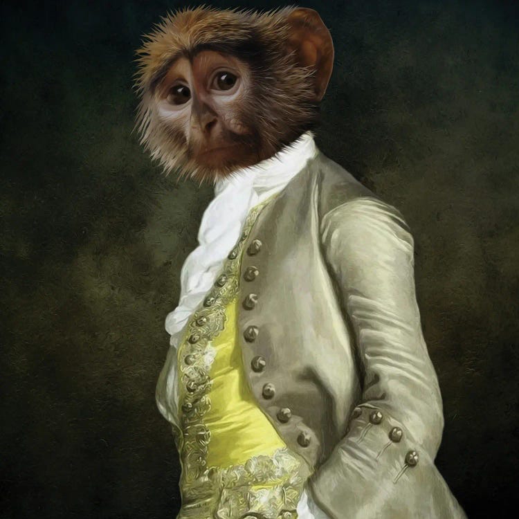 Portrait Of A Capuchin In Retro Costume