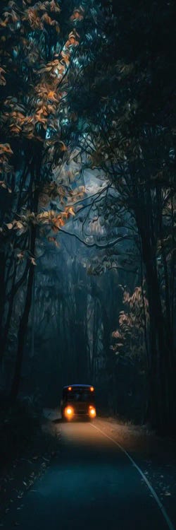 A Night Bus On A Forest Road