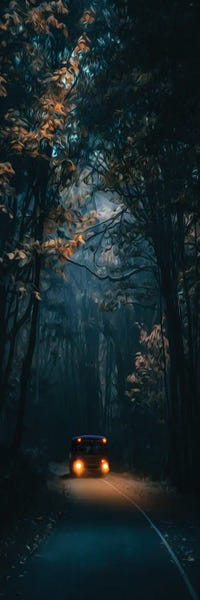 Ievgeniia Bidiuk: A Night Bus On A Forest Road by Ievgeniia Bidiuk