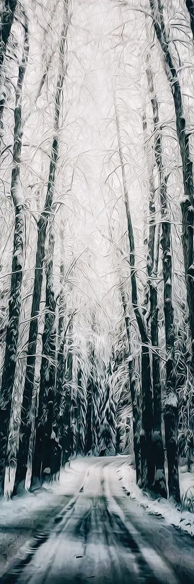 A Road In A Winter Forest by Ievgeniia Bidiuk acrylic art print