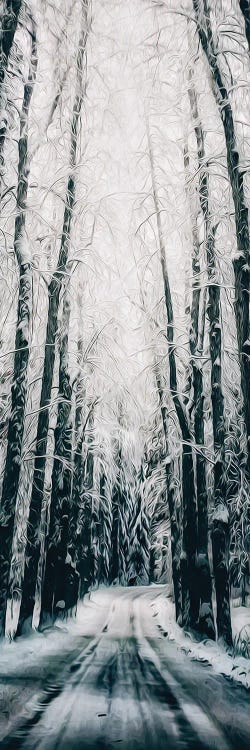 A Road In A Winter Forest