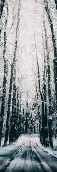 Ievgeniia Bidiuk: A Road In A Winter Forest by Ievgeniia Bidiuk