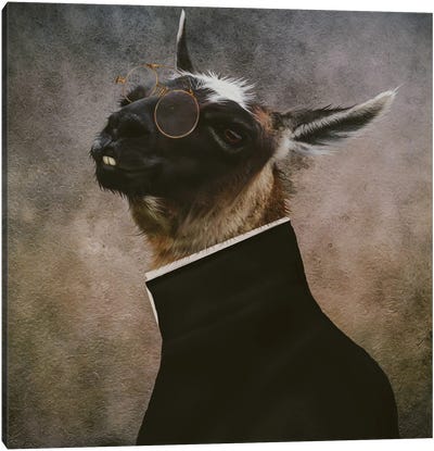 Portrait Of A Llama With Glasses Canvas Art Print - Llama & Alpaca Art