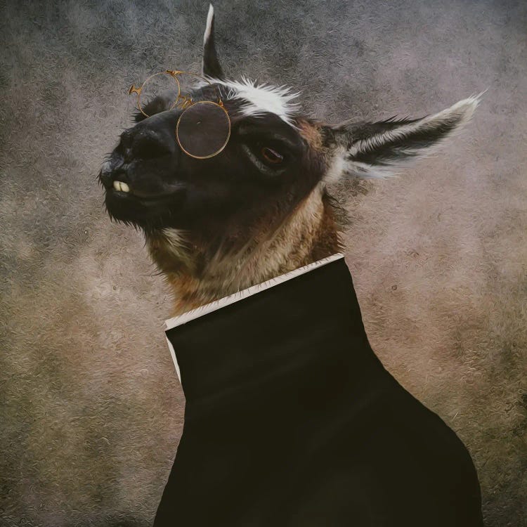 Portrait Of A Llama With Glasses