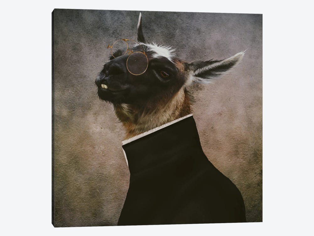 Portrait Of A Llama With Glasses by Ievgeniia Bidiuk 1-piece Canvas Art
