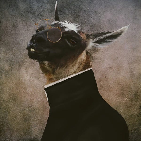 Llamas: Portrait Of A Llama With Glasses by Ievgeniia Bidiuk
