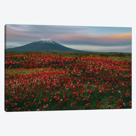 Flower Meadow At The Foot Of The Volcano Canvas Print #IVG624} by Ievgeniia Bidiuk Canvas Print