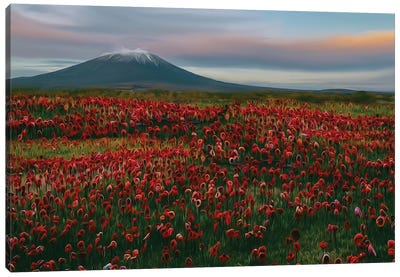 Flower Meadow At The Foot Of The Volcano Canvas Art Print - Volcano Art
