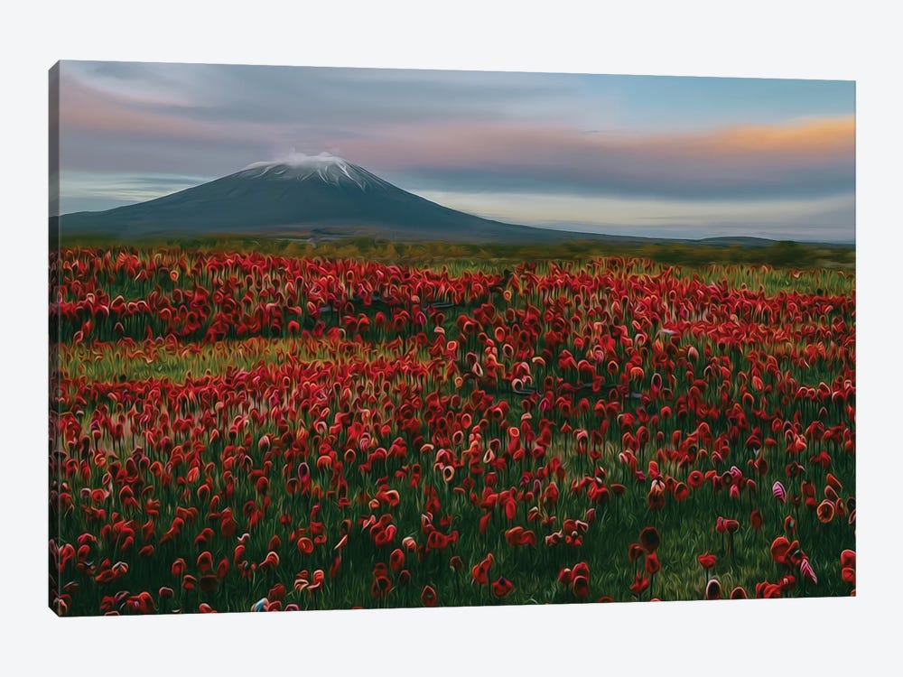 Flower Meadow At The Foot Of The Volcano by Ievgeniia Bidiuk 1-piece Canvas Art