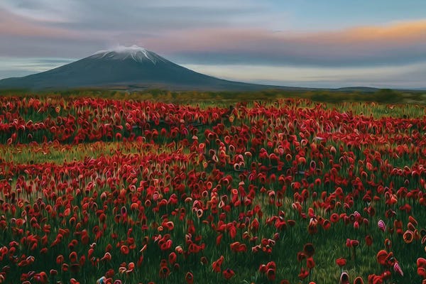Ievgeniia Bidiuk: Flower Meadow At The Foot Of The Volcano by Ievgeniia Bidiuk