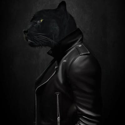 Portrait Of A Black Cat In A Biker Jacket by Ievgeniia Bidiuk framed wall art