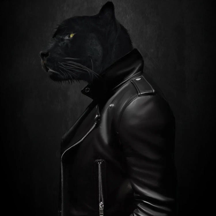 Portrait Of A Black Cat In A Biker Jacket