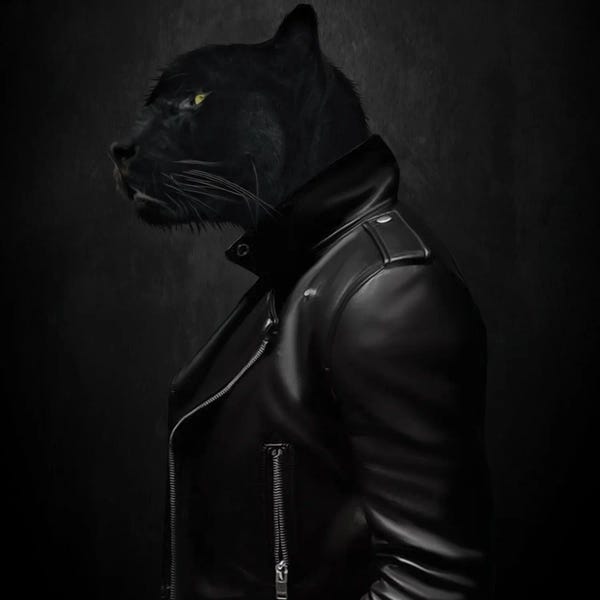Goth Art: Portrait Of A Black Cat In A Biker Jacket by Ievgeniia Bidiuk